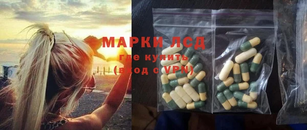 прущие грибы Беломорск