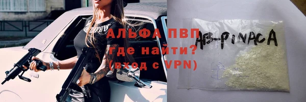 прущие грибы Беломорск