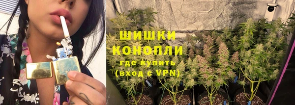 СК Белокуриха