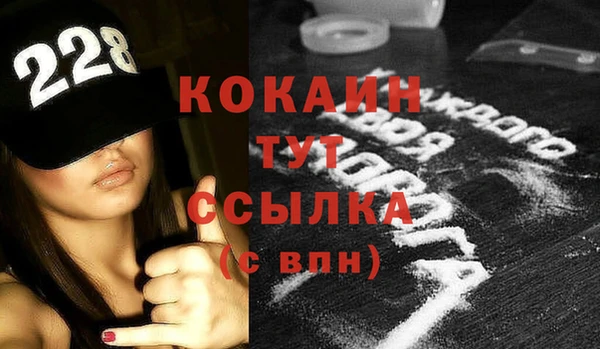 прущие грибы Беломорск