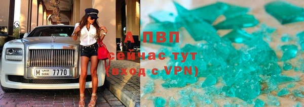 СК Белокуриха