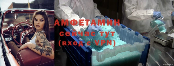 прущие грибы Беломорск