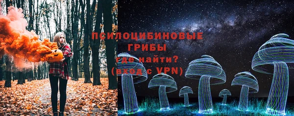 прущие грибы Беломорск