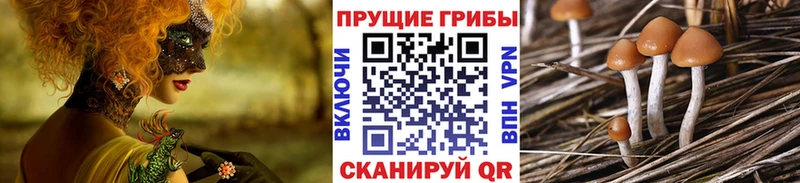 Псилоцибиновые грибы MAGIC MUSHROOMS Вязники